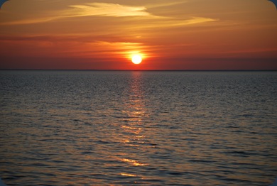 DSC_1661
