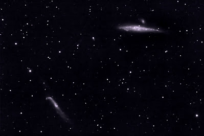 NGC4631, "galàxia la Balena" i NGC4656 "Pal de Hockey" a Canes Venatici.