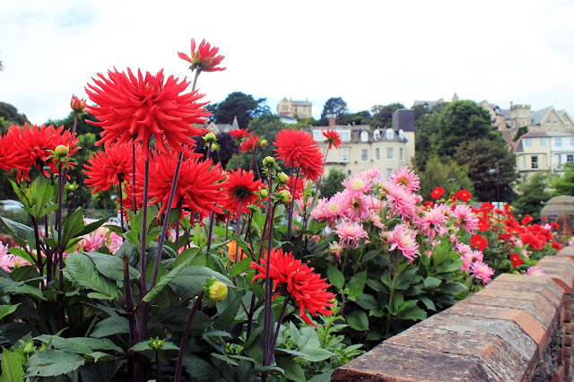 Ilfracombe, North Devon