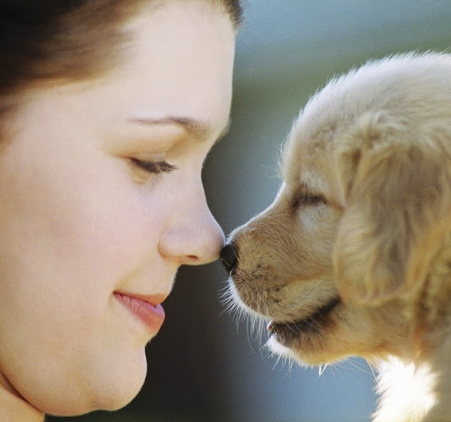 Puppy and his owner