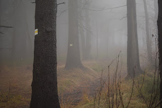 Góry Wałbrzyskie 13-14.11.2020