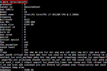 Menganalisis Hardware Server Pada Debian 