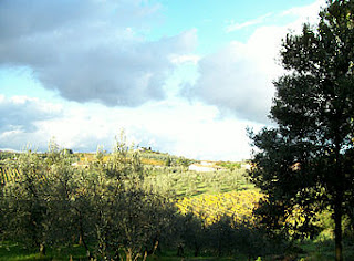 Vineyards in the Chiant.