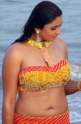 Sexy Actress Namitha Hot navel Pics In Jaganmohini