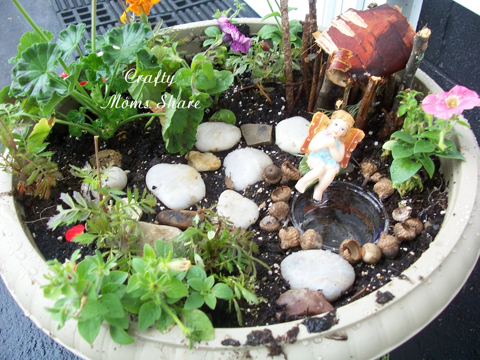 Fairy Gardens