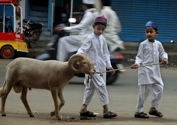 Sejarah Awal Mula Hari Raya Idul  Adha Hari Raya Qurban  