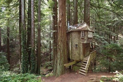 shingled tree house, tree house, fairytale cottage in woods, cabin shingled