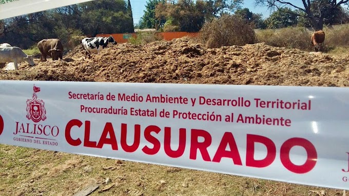 PROEPA emite 295 ultas por dañoambientales en Jalisco