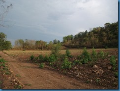 DSCF6364