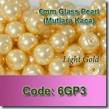 6GP3 copy