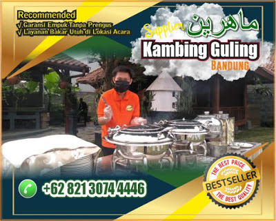 Kambing Guling Murah di Setiabudi Bandung, Kambing Guling Murah di Setiabudi, Kambing Guling Murah di Bandung, Kambing Guling di Setiabudi Bandung, Kambing Guling Setiabudi, Kambing Guling Bandung, Kambing Guling,