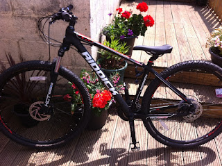 Stolen Bicycle - Riddick RD329 29er