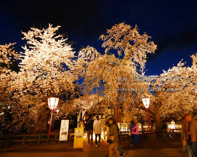 弘前城の夜桜