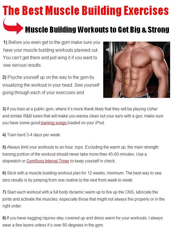 The Best Muscle Building Exercises