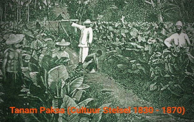 Penerapan Sistem Tanam Paksa (Cultuur Stelsel) Pada Masa Penjajahan (1830 - 1870)
