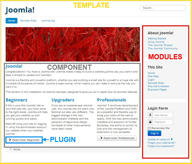 Pengertian, Fungsi, Serta Bagian - Bagian dari Joomla