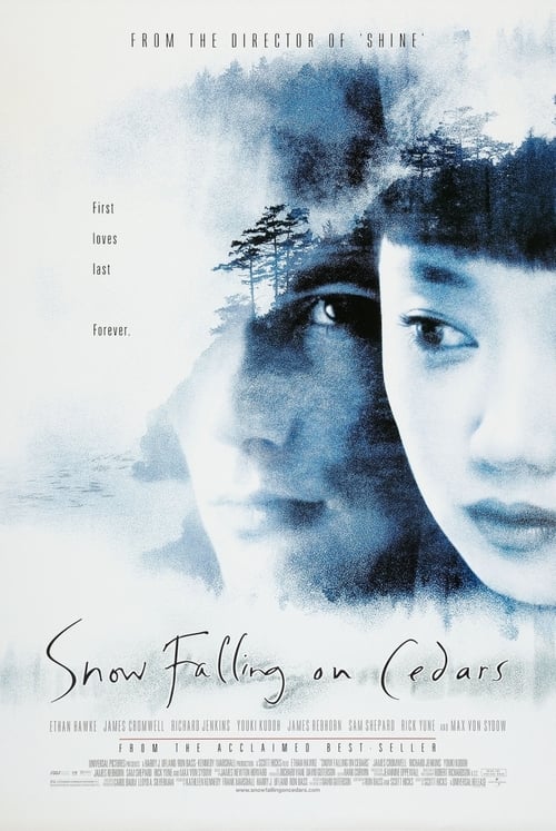 La neve cade sui cedri 1999 Film Completo Sub ITA