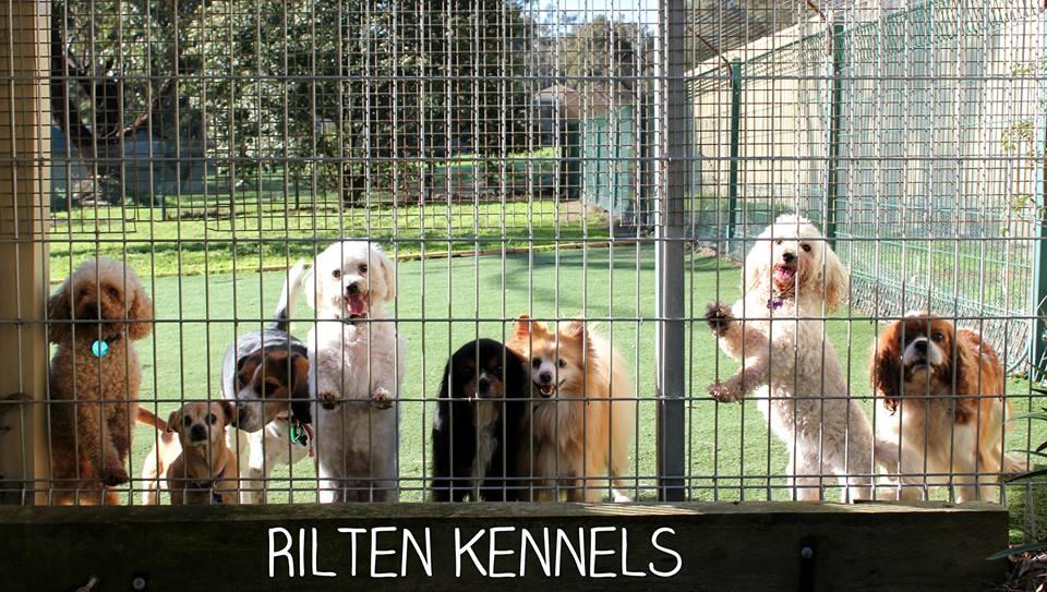 Dog Kennels