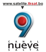 http://www.canal9salta.com/