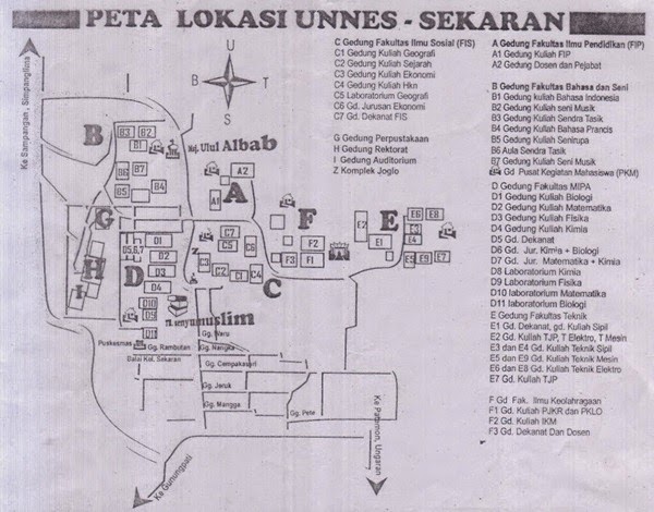 petaunnes2