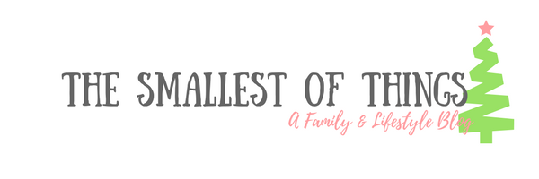 The Smallest Of Things Blog Logo