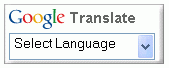 google translate