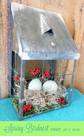 Spring Bird Nest Decor via http://deniseonawhim.blogspot.com