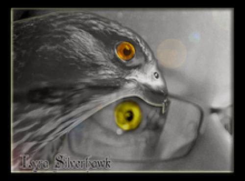 Magick Spells B