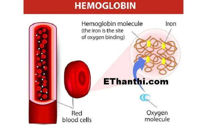 அனீமியா என்றால் என்ன?