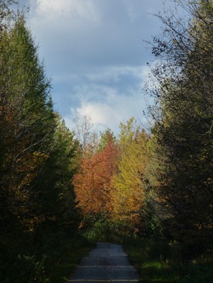 P1020537