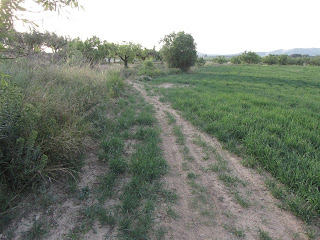 Carrerada de Vilafranca del Penedès a Montblanc al seu pas entre vinyes i camps de conreu