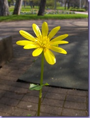 Resized_HPIM5862