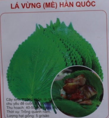 Hạt giống Lá mè Hàn Quốc