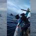 Jumpa 3 ekor ikan paus di perairan Langkawi