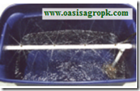 Build your Oasis aeroponics System