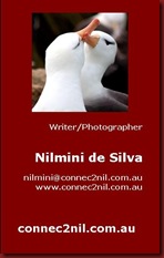Business Card3