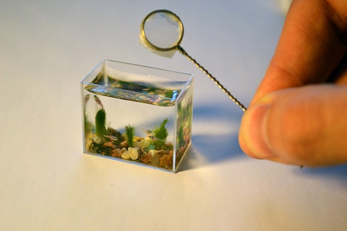 smallest-aquarium1 smallest-aquarium1