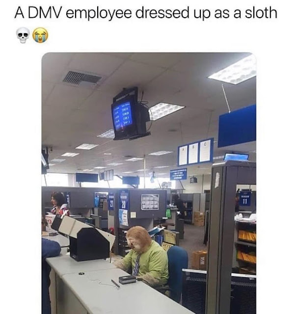 dmv employee dressed up as a sloth - A Dmv employee dressed up as a sloth e A