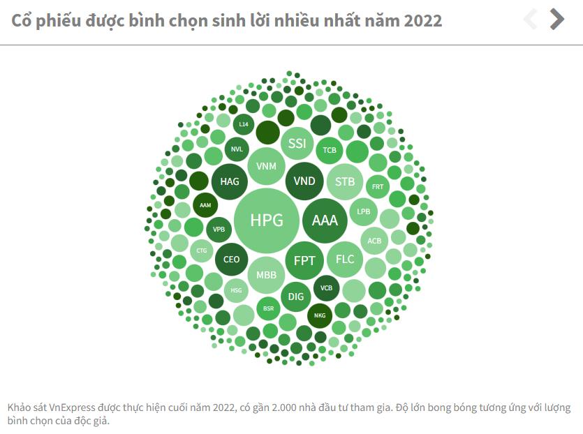 Cổ phiếu nào để lại nhiều tâm tư nhất năm 2022?