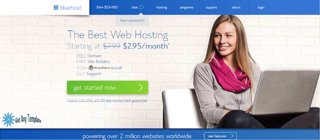 Bluehost Wordpress Hosting 