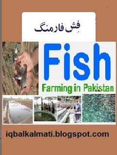 Fish Farming Book In Urdu Free PDF Download