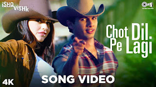 Chot Dil Pe Lagi Lyrics - Ishq Vishk | Shahid Kapoor & Amrita Rao