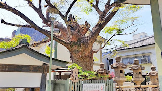 人文研究見聞録：二宮神社 ［兵庫県］