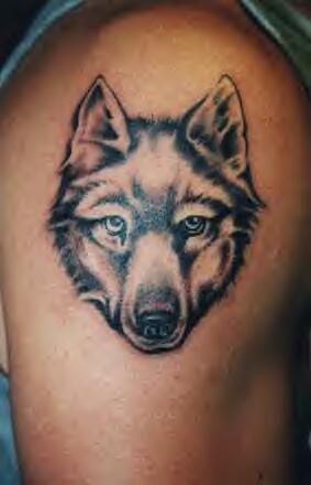 animal tattoo