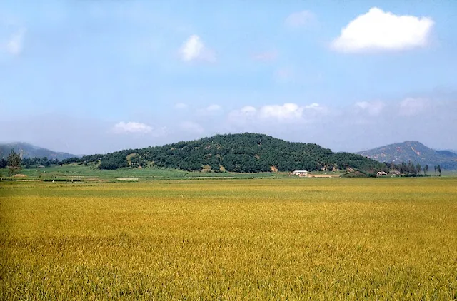 청산성 전경