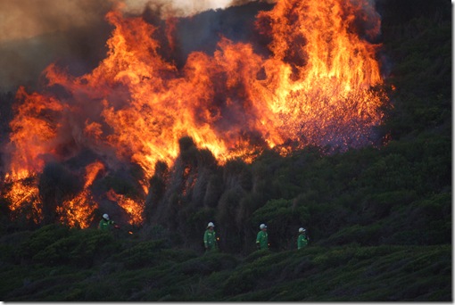 Controlled Burn Discovery Walk 07