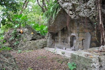 DSC 0482 2