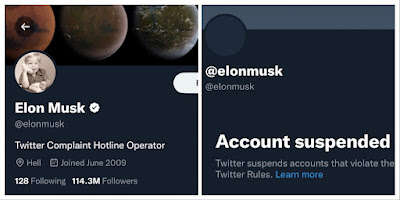 Fake Elon Musk Twitter account.