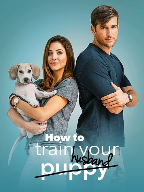 Ver How to Train Your Husband 2018 Pelicula Completa En Español Latino