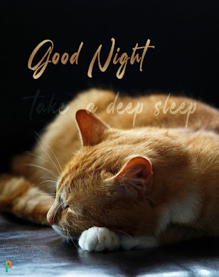Good Night Pictures Images - Take a deep sleep